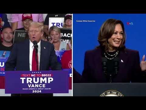 Trump y Harris se verán las caras el 10 de septiembre en debate presidencial