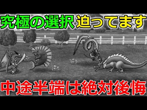 【ドラクエウォーク】中途半端は絶対後悔！究極の選択が迫ってまいりました・・！