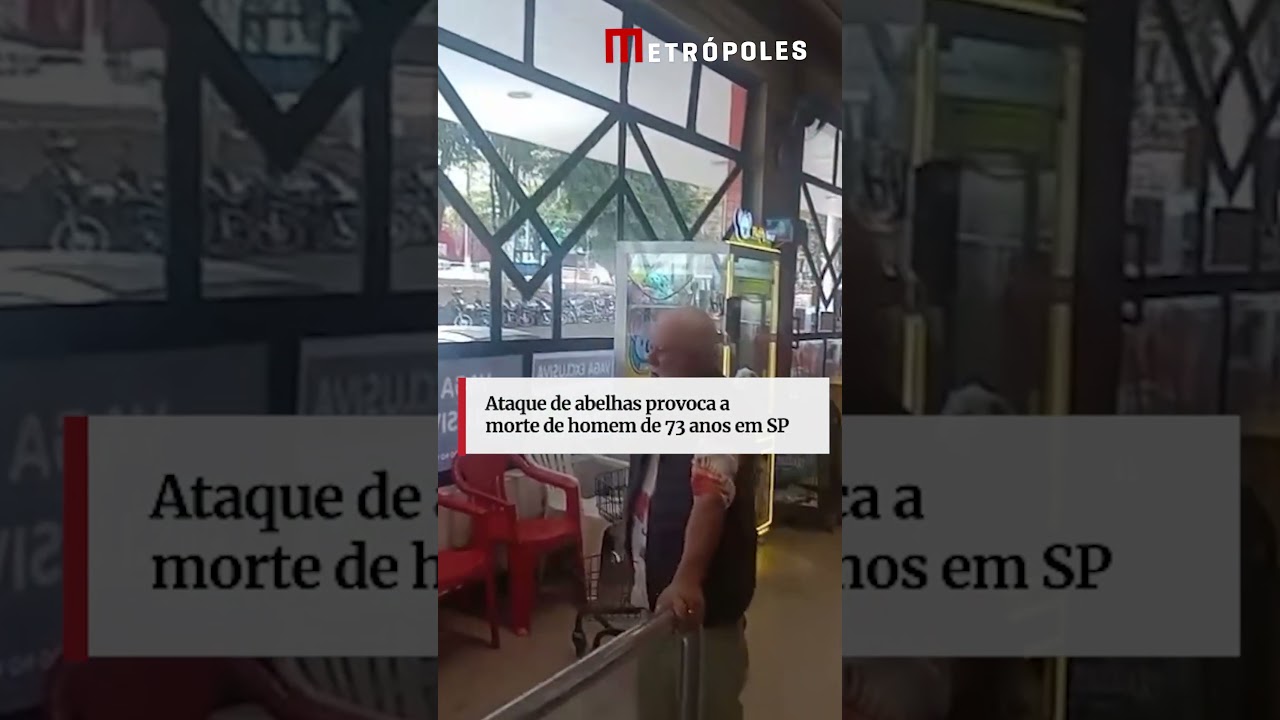 Ataque de abelhas provoca a morte de homem de 73 anos em SP
