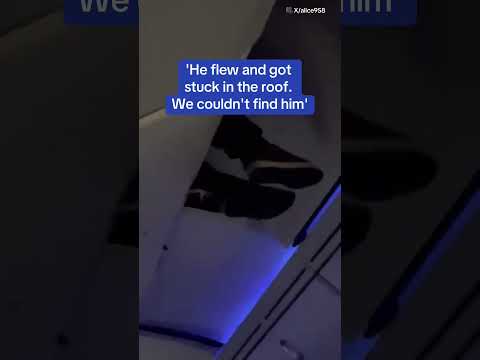 A passenger gets stuck in the overhead bin after their flight experienced severe turbulence