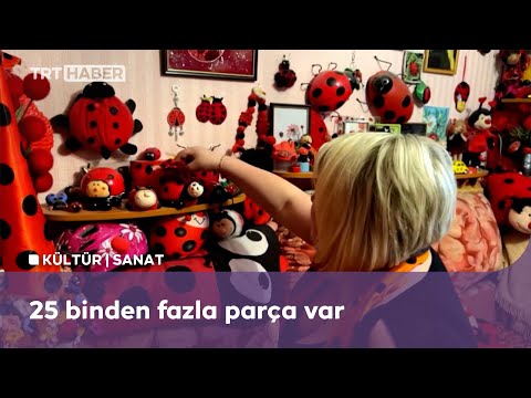 Dünyanın en büyük uğur böceği temalı eşya koleksiyonu