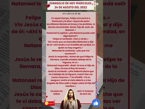 Evangelio de Hoy MIERCOLES 24 de Agosto de 2022 | Biblia | La Sangre de Cristo