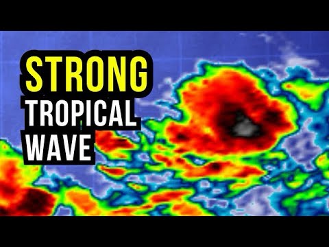 Strong Tropical Wave could Form...