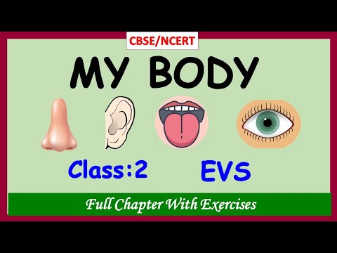 My Body | Class 2 EVS | Body parts | Parts of the Body | EVS grade 2 | CBSE / NCERT | with Exercises
