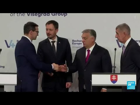 Relations France-Hongrie : Emmanuel Macron et Viktor Orban, les meilleurs ennemis • FRANCE 24