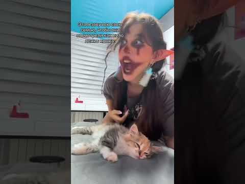 ДЕВОЧКИ ВСЕ СЮДА #tiktok #automobile #stitchtricks