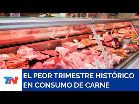 TN CAMPO I El peor trimestre histórico en consumo de carne