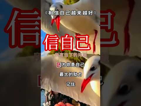 自己！最了解自己……走自己的路让别人……无路可走…… #心灵感悟 ……感谢订阅分享☕☕