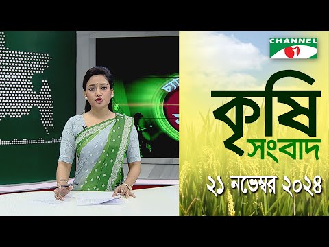 চ্যানেল আই কৃষি সংবাদ | Channel i Krishi News | 21 November, 2024 || Channel i News