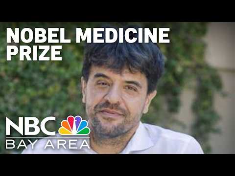 Stanford <strong>professor</strong> among trio awarded Nobel medicine prize