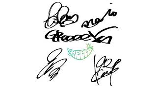 全国メディア初音声 GReeeeN レコード大賞メッセージ 2009