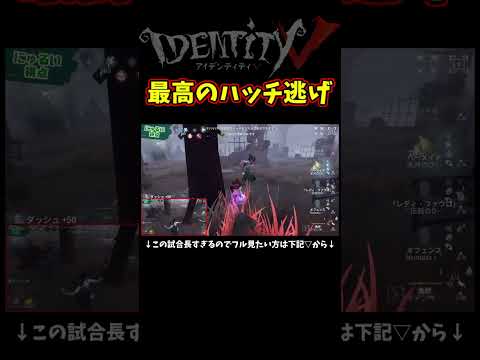 今年一番のハッチ逃げ【第五人格】【IdentityⅤ】【アイデンティティ5】