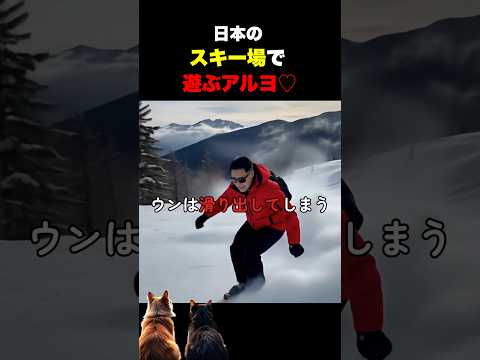 日本の雪山は安全♡　#日本 #冬 #スキー #スノーボード #雪 #スキー場 #観光 #旅行 #アルヨ