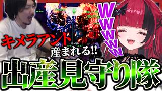 面白過ぎるけっつんの出産見守りを見守るもしゅ【折咲もしゅ / けっつん / #ARK / REJECT / 切り抜き】