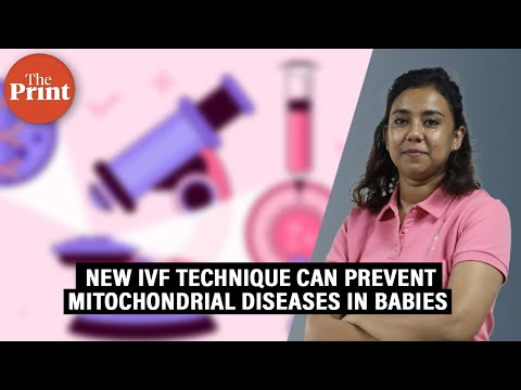 8 babies born in UK after rare mitochondrial donation—what is the procedure, how was it done?