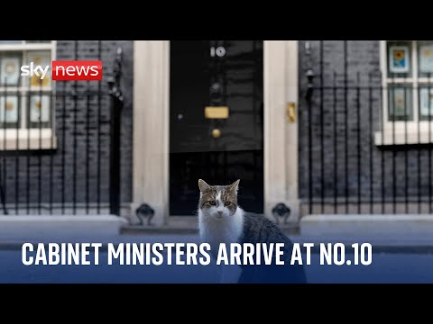 Watch live: Government ministers arriving at Downing Street for Cabinet meeting
