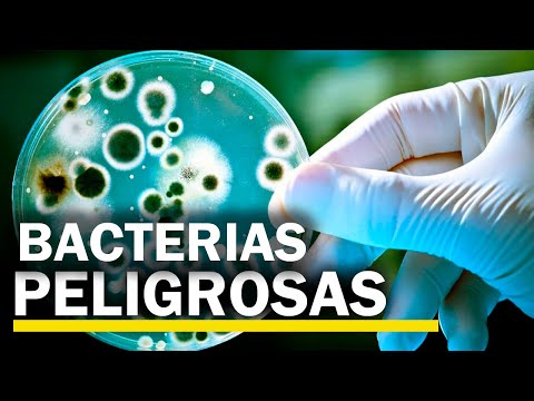 ¿Cuán peligrosos son las bacterias resistentes a los antibióticos