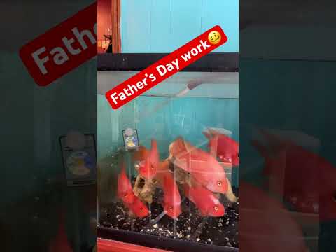 Father’s Day work #worshipmusic #gospelmusic #fi 