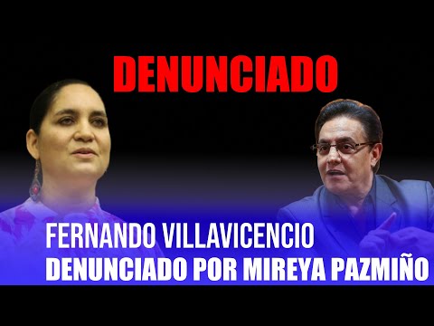 Mireya Pazmiño denuncia a Fernando Villavicencio por exponer a un menor
