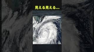 ファッ！？見えてしまった人は末期#twitter #shorts