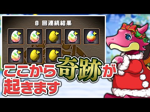 配布された8連クリスマスガチャから出たキャラで闘技場のメリークリスマスに挑んだ結果…！？【パズドラ】