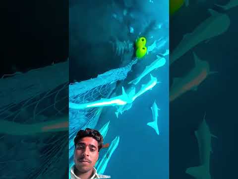 #ocean व्हेल मछली अपने को बचाने के लिए नाऊ डूबा दी #animals #whale #dolphin