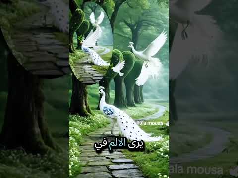 #أعظم كلمة قيلت منذ أن خلق الله السموات والأرض🌴🌴The greatest words ever spoken since God created the