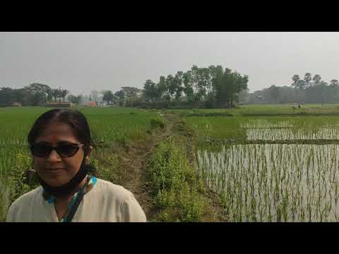 Hamare khet Khalihaan😊