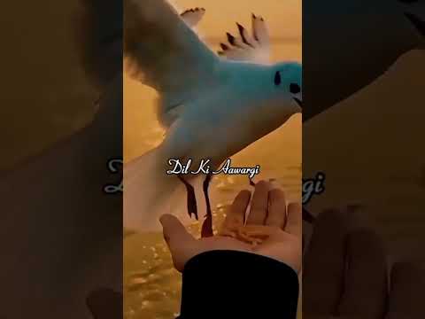 HAM SAY POCHO MOHABAT KI DEWANGI | #nfak #nusratfatehalikhan