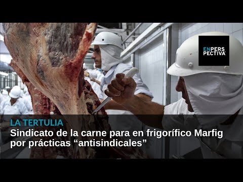 Sindicato de la carne para en frigorífico Marfig por prácticas “antisindicales”