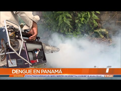 Minsa: Veracruz reporta alto índice de infestación de Aedes Aegypti