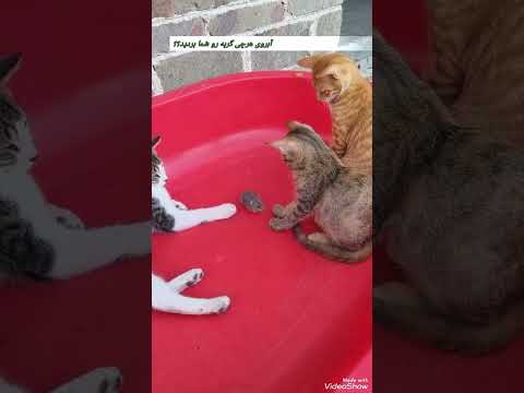 يتسلو وقت العصريه😄 #اكسبلور