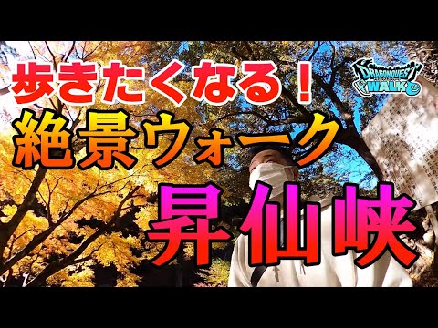 ドラクエウォーク272【山梨の勇者が紹介する絶景ウォークスポット！紅葉深まる秋の昇仙峡】