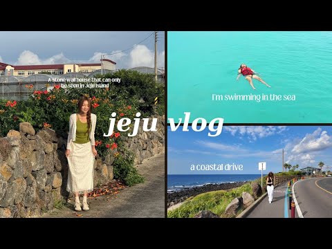 제주도로 여름 휴가를 떠나요 with 대학교 동창편 |김녕세기알|판포포구