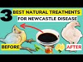 Best NATURAL ORGANIC TREATMENT FOR NEWCASTLE DISEASE In Chickens.
