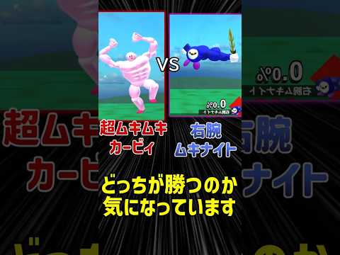 超ムキムキカービィ vs 右腕ムキナイト