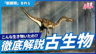 【雑談】RPNP古生物学ニュース「獣脚類の進化の謎！！その登場からコエロフィシスまで」#恐竜 #化石 #解説
