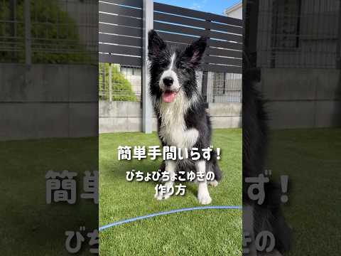 簡単手間いらず!びちょびちょこゆきの作り方#shorts