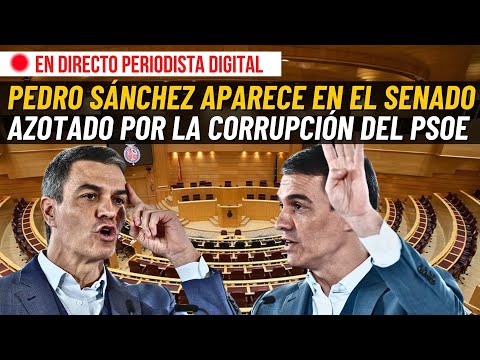 DIRECTO / SÁNCHEZ SALE DE SU SOMBRA Y APARECE EN EL SENADO AZOTADO POR LA CORRUPCIÓN DEL PSOE