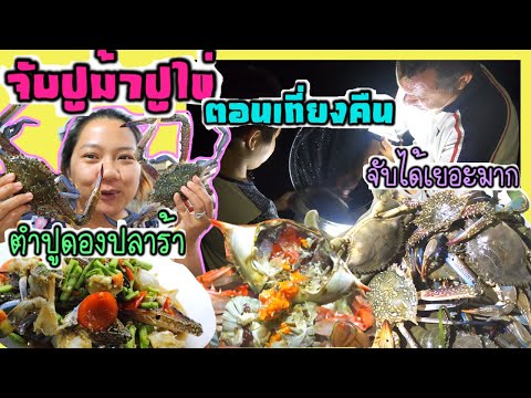 EP.168-สามีตุรกีชวนไปจับปูม้าแ EP.168-สามีตุรกีชวนไปจับปูม้าแ