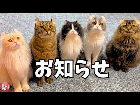 【ご報告】 もすけファミリーから2つの大切なお知らせがあります
