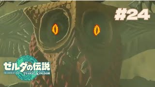 ゲルドの敵、だいたい気持ち悪い説【ゼルダの伝説TotK #24】