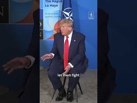 Nato leader Mark Rutte calls Donald Trump 'daddy'