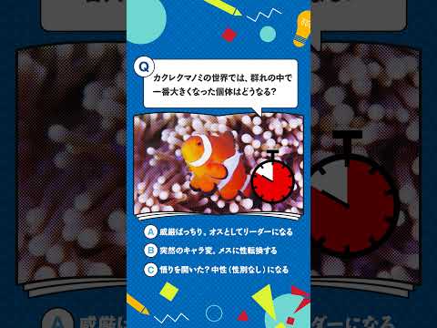 海遊館から生きものクイズ！【第5弾】