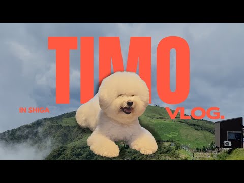 ボク、実家に帰らせていただきます。vlog