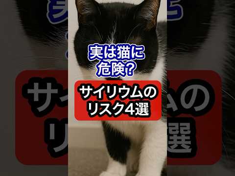 実は猫に危険？サイリウムのリスク4選