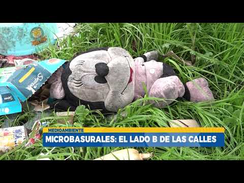 Microbasurales aumentaron durante la pandemia en el Gran Concepción