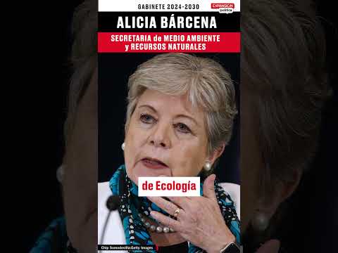 ALICIA BÁRCENA: perfil y misión de la próxima secretaria de Medio Ambiente y Recursos Naturales