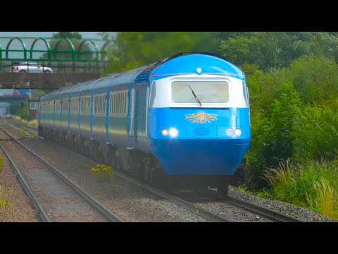 Trains at Worle, 15.7.23 - GWML (ft. Blue Pullman HST)
