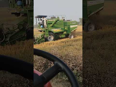 #bhojpuri #song #love #